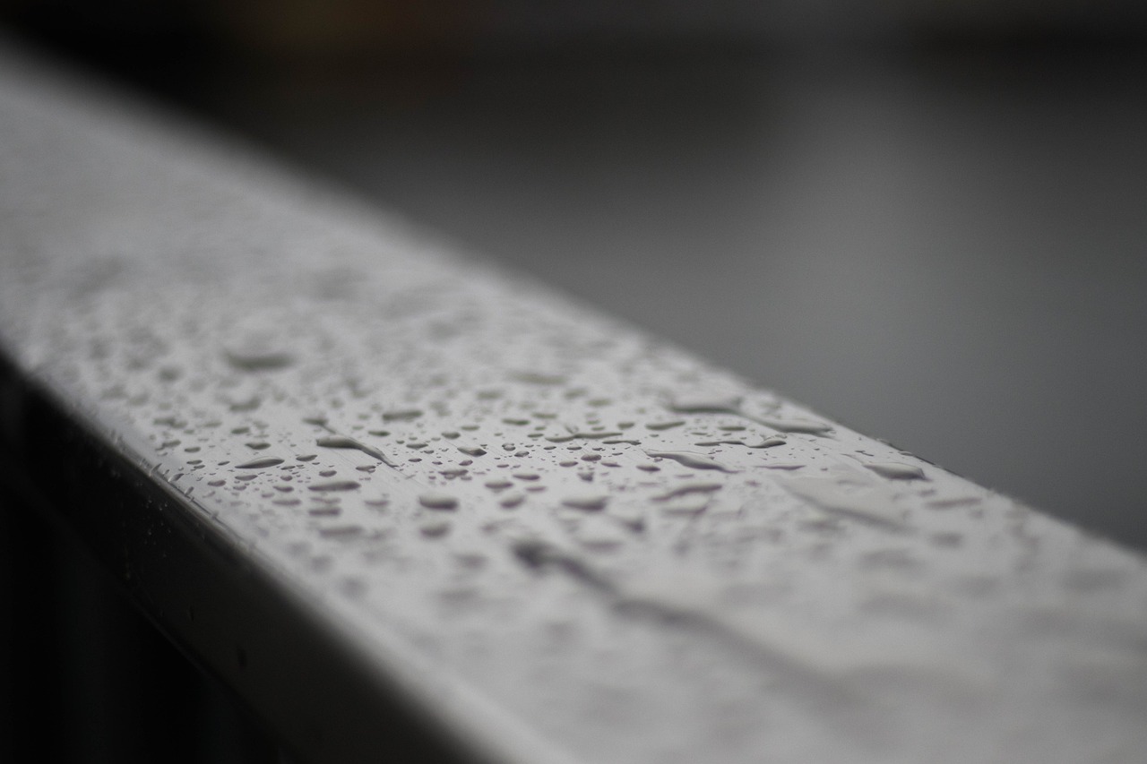 守护东北雨宙，拒绝平行宇宙的侵扰