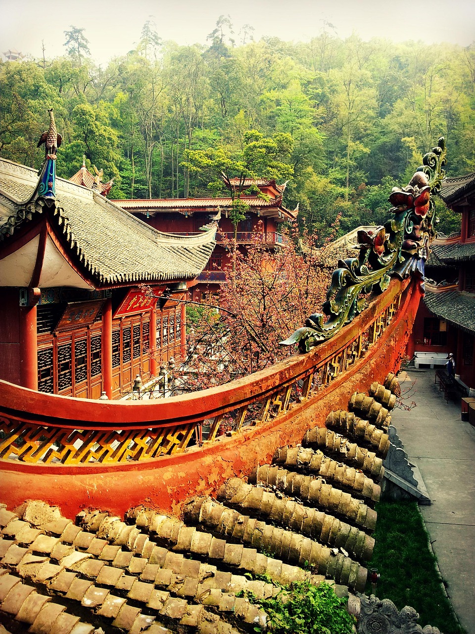 净土探秘，中国唯一没有疫情的地方