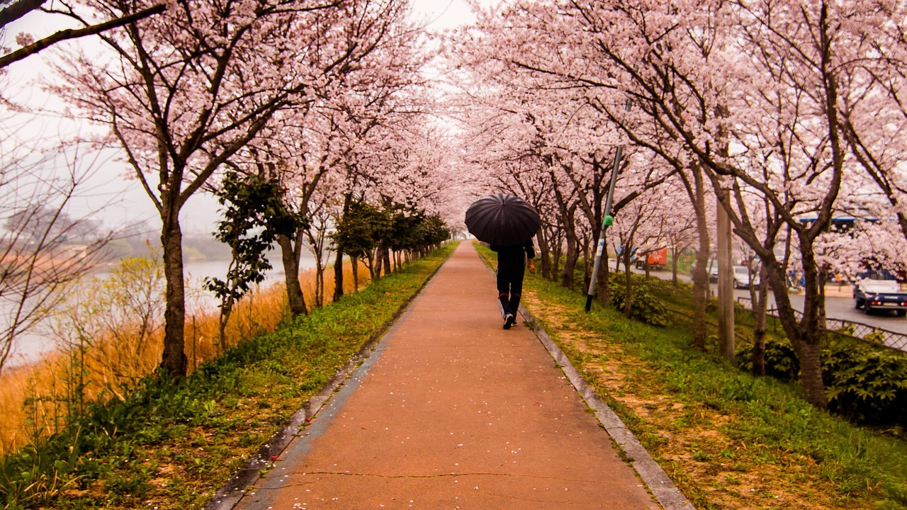 武汉江夏，抗击疫情的前线故事