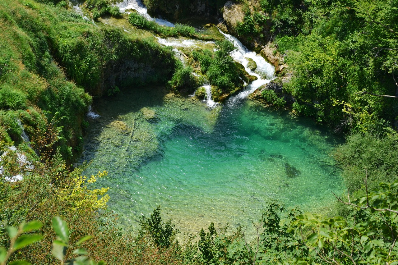 青城山隐世之旅，探索山间秘境的住宿体验